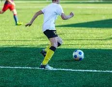 大乐透期号,专家质合分,析推荐,博鱼体育官网,博鱼体育app,博鱼体育APP下载