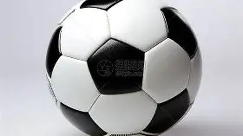 2025年Google全球搜索排行：美洲杯高居榜首，奥运仅列第九